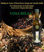 huile, olive, maroc, agriculture mediterraneenne, vin marocain, volubilia