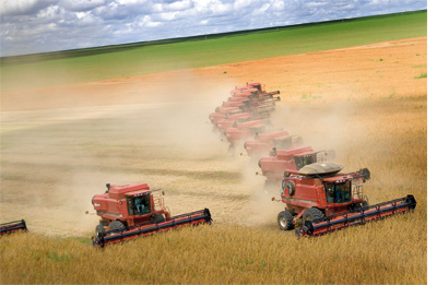 agriculture_mediterranee