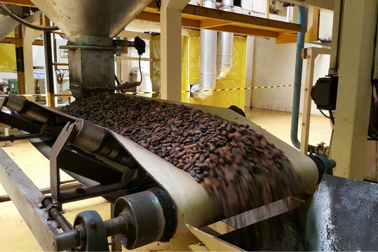 L'Organisation internationale du cacao déménage enfin en Côte d’Ivoire